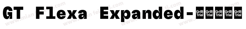 GT Flexa Expanded字体转换